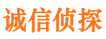 萨嘎侦探调查公司